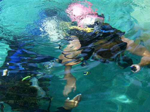 Pondok Bambu Dive Resort 甘地达萨 外观 照片
